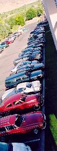 Volvos in Osoyoos 2002